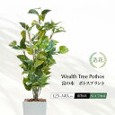 フェイクグリーン 観葉植物 フェイク 人工観葉植物 リアル 造花 大型 富の樹 ポトスプラント 125cm 130cm 140cm 光触媒 鉢植 樹脂鉢付 イン...