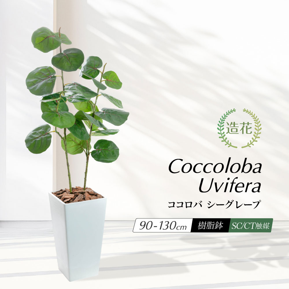 【楽天スーパーセール限定 10%OFF】フェイクグリーン ウンベラータ 人工観葉植物 大型 光触媒 消臭 抗菌 風水 おしゃれ リビング 大きい 鉢植え 鉢付き CT触媒 リアル インテリア 北欧 玄関 お祝い 開店 新築祝い 贈り物 送料無料 / ココロバ シーグレープ 90cm〜130cm