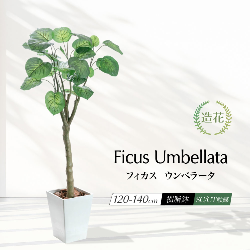 フェイクグリーン ウンベラータ おしゃれ 人工観葉植物 光触媒 消臭 抗菌 造花 大型 インテリア アンティーク かわいい オシャレ 風水 スリム 鉢植え 樹脂鉢 北欧 リアル CT触媒 日本製 送料無料 [rcp] / フィカス ウンベラータ 120～140cm