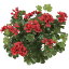 【観葉植物 造花】ゼラニューム(レッド) 40cm 【フェイクグリーン 人工観葉植物 光触媒 CT触媒 インテリア】【楽ギフ_
