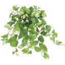 観葉植物 造花 ホヤ 50cm ブッシュ フェイクグリーン 人工観葉植物 光触媒 CT触媒 インテリア 楽ギフ_