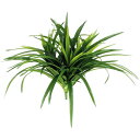 フェイクグリーン ヤブラン(グリーン) 37cm ブッシュ 観葉植物 造花 人工観葉植物 光触媒 CT触媒 インテリア 楽ギフ_
