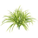 人工観葉植物 ヤブラン(イエロー) 37cm ブッシュ 観葉植物 造花 フェイクグリーン 光触媒 CT触媒 インテリア 楽ギフ_