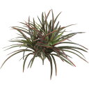 観葉植物 造花 ヤブラン(レッド) 37cm ブッシュ 人工観葉植物 フェイクグリーン 光触媒 CT触媒 インテリア 楽ギフ_