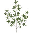 観葉植物 造花 モミジ(グリーン) 60cm 紅葉 スプレイ 枝 人工観葉植物 フェイクグリーン 光触媒 CT触媒 インテリア