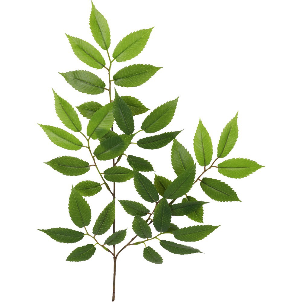 楽天市場】フェイクグリーン(種類(植物)ケヤキ)の通販 楽天市場】フェイクグリーン(種類(植物)ケヤキ)の通販