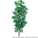 【マラソン期間中P5倍】人工観葉植物 シェフレラ 150cm カポック 樹木 フェイクグリーン 大型 観葉植物 造花 光触媒 CT触媒 インテリア