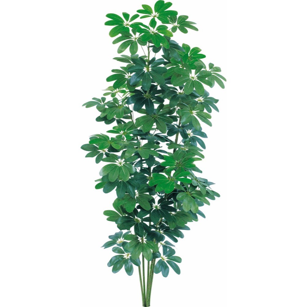 カポック 【マラソン期間中P5倍】観葉植物 造花 大型 シェフレラ 180cm カポック 樹木 人工観葉植物 フェイクグリーン 光触媒 CT触媒 インテリア