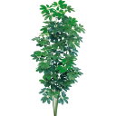 【マラソン期間中P5倍】観葉植物 造花 大型 シェフレラ 180cm カポック 樹木 人工観葉植物 フェイクグリーン 光触媒 CT触媒 インテリア