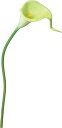 【5/9 20時～マラソン期間中P5倍！】造花 花材 アーティフィシャルフラワー カラーリリーS グリーン 撮影 小道具 小物 撮影用
