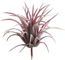 造花 花材 フェイクグリーン 人工観葉植物 チランジア バーガンディー 撮影 小道具 小物 撮影用