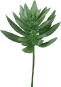 造花 花材 フェイクグリーン 人工観葉植物 ベンケイソウカクタスピック グリーン 撮影 小道具 小物 撮影用