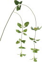 造花 花材 フェイクグリーン 人工観葉植物 リキュウソウ グリーン 撮影 小道具 小物 撮影用