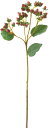 造花 花材 フェイクグリーン 人工観葉植物 ヒペリカム ブラウン 撮影 小道具 小物 撮影用