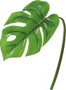 造花 花材 フェイクグリーン 人工観葉植物 ミニモンステラリーフ グリーン 撮影 小道具 小物 撮影用