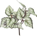 造花 花材 フェイクグリーン 人工観葉植物 ミニベゴニアリーフブッシュ グリーン 撮影 小道具 小物 撮影用