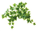造花 花材 フェイクグリーン 人工観葉植物 ロックプランツ アイビーS Y/G 撮影 小道具 小物 撮影用