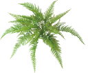 造花 花材 フェイクグリーン 人工観葉植物 ロックプランツ レザーファーン 撮影 小道具 小物 撮影用