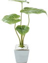 造花 花材 フェイクグリーン 人工観葉植物 フィロデンドロンソデロイ 撮影 小道具 小物 撮影用