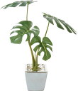造花 花材 フェイクグリーン 人工観葉植物 モンステラ 撮影 小道具 小物 撮影用