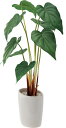 造花 花材 フェイクグリーン 人工観葉植物 ロングアロカシアオーバルポット tpw 撮影 小道具 小物 撮影用