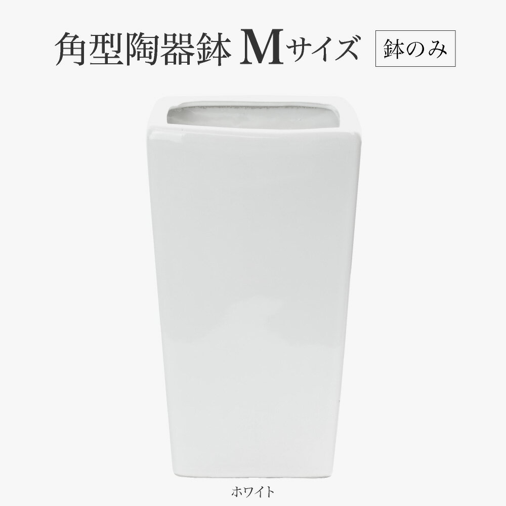 特価 送料無料 角陶器鉢 アークオリジナル ホワイト Mサイズ(中サイズ) 白鉢 艶あり 7号 ポット 鉢 人工観葉植物 フェイクグリーン 観葉植物 造花 インテリア 園芸 ガーデニング 屋内 屋外