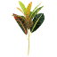 【6個から注文可能】人工観葉植物 フェイクグリーン 観葉植物 造花 クロトン 大 35cm インテリア おしゃれ フェイク グリーン CT触媒 消臭 抗菌