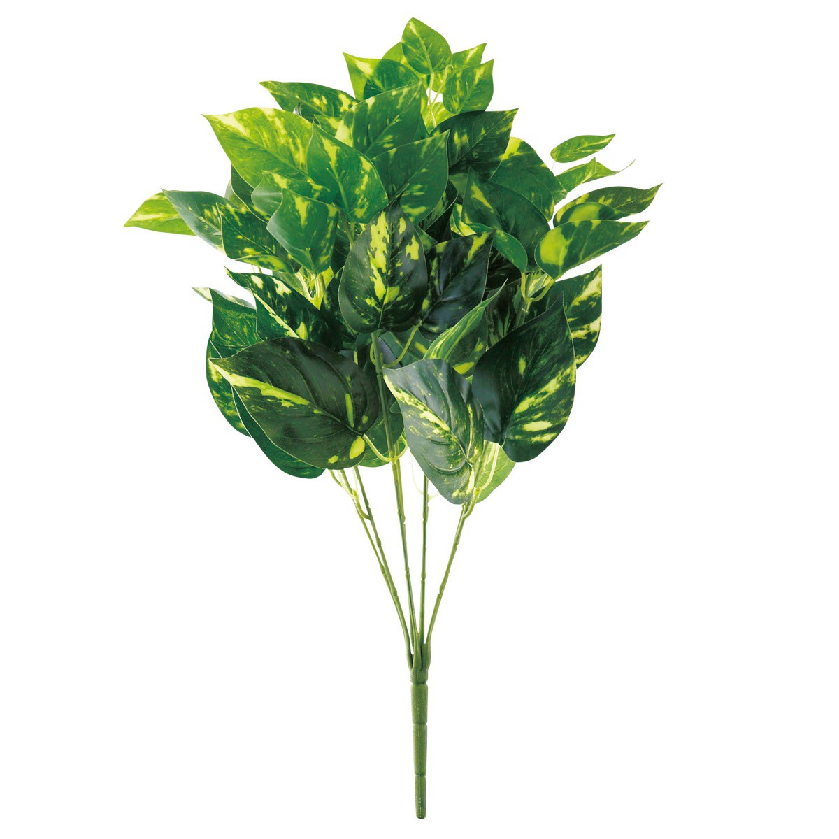 【6個から注文可能】 斑入りポトス 50cm 人工観葉植物 フェイクグリーン 造花 インテリア おしゃれ CT触媒 消臭 抗菌