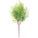 【6個から注文可能】 アジアンタム 45cm 人工観葉植物 フェイクグリーン 造花 インテリア おしゃれ CT触媒 消臭 抗菌