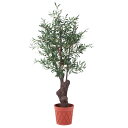 フェイクグリーン 人工観葉植物 造花 大型 オリーブ 小 170cm インテリア おしゃれ CT触媒 消臭 抗菌 お祝い(4)