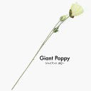 【楽天スーパーSALE 半額 50%OFF】花材 資材 撮影用 造花 装飾 ジャイアント・ポピー 90cm 観葉植物 造花 クリーム 人工観葉植物 花材 資材 ...