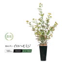 和モダン イロハモミジポット 100cm ジャパニーズ メイプルツリー 人工観葉植物 フェイクグリーン 観葉植物 造花 光触媒 大型 鉢植 インテリア CT触媒 消臭 抗菌 お祝い 開店 開業祝い 