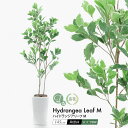 フェイクグリーン 観葉植物 フェイク 人工観葉植物 リアル 造花 大型 ハイドランジアリーフM 145cm 鉢植 陶器鉢 インテリア おしゃれ CT触媒 消臭 ...