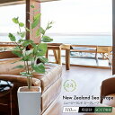 フェイクグリーン 観葉植物 フェイク 人工観葉植物 大型 おしゃれ 光触媒 消臭 抗菌 風水 造花 リビング 本物そっくり 鉢植え 陶器 CT触媒 リアル イン...