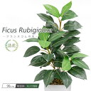 【お買い物マラソン限定 10%OFFセール】フェイクグリーン 観葉植物 フェイク 人工観葉植物 リアル 造花 フランスゴムの木 ラバープラント 90cm 鉢植 ...