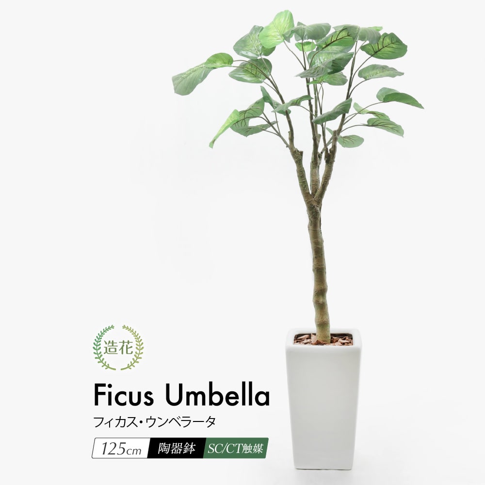 フェイクグリーン 観葉植物 フェイク 人工観葉植物 大型 光触媒 フィカス・ウンベラータ 125cm 鉢植 陶器鉢 CT触媒 造花 リアル 人工光触媒