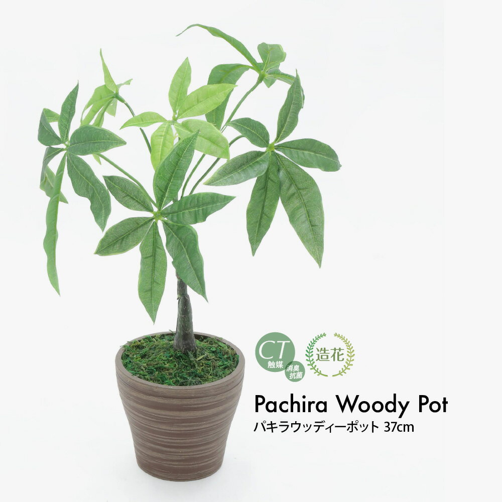 ミニ観葉植物 【期間限定20％OFF】フェイクグリーン 観葉植物 フェイク リアル 人工観葉植物 卓上 ミニ パキラウッディーポット 37cm 造花 光触媒 鉢植 インテリア おしゃれ CT触媒 消臭 抗菌 お祝い