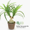 フェイクグリーン 観葉植物 フェイク 人工観葉植物 卓上 ミニ 小さい 光触媒 ノリナ テラコッタポット リアル ミニ観葉 造花 鉢植 インテリア おしゃれ グ...