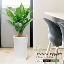 フェイクグリーン 観葉植物 フェイク 人工観葉植物 大型 光触媒 消臭 ハワイ 造花 おしゃれ リビング 大きい 本物そっくり 鉢植え 陶器 CT触媒 リアル ...