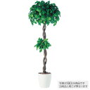 【メーカー直送】 観葉植物 造花 大型 フィッカスベンジャミナダブル (ベンジャミン) 200cm 鉢植 人工観葉植物 フェイクグリーン インテリア 【代引不可...