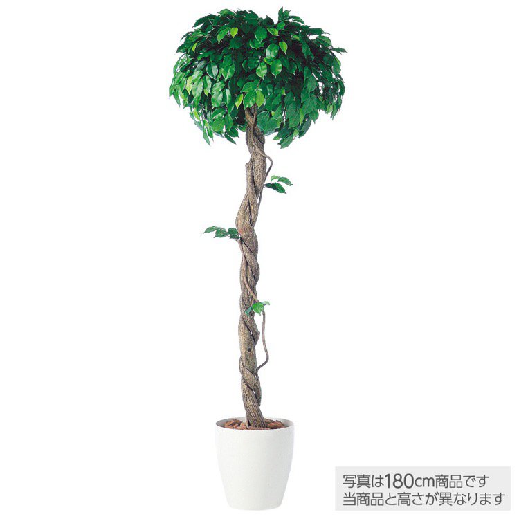 【マラソン期間中P5倍】【メーカー直送】 観葉植物 造花 大型 フィッカスベンジャミナシングル (ベンジャミン) 200cm 鉢植 人工観葉植物 フェイクグリーン インテリア 【代引不可】