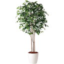 フェイクグリーン 観葉植物 フェイク 人工観葉植物 大型 光触媒 人工大型 フィッカスベンジャミナトリプル (ベンジャミン) 180cm 鉢植 造花 光触媒 C...