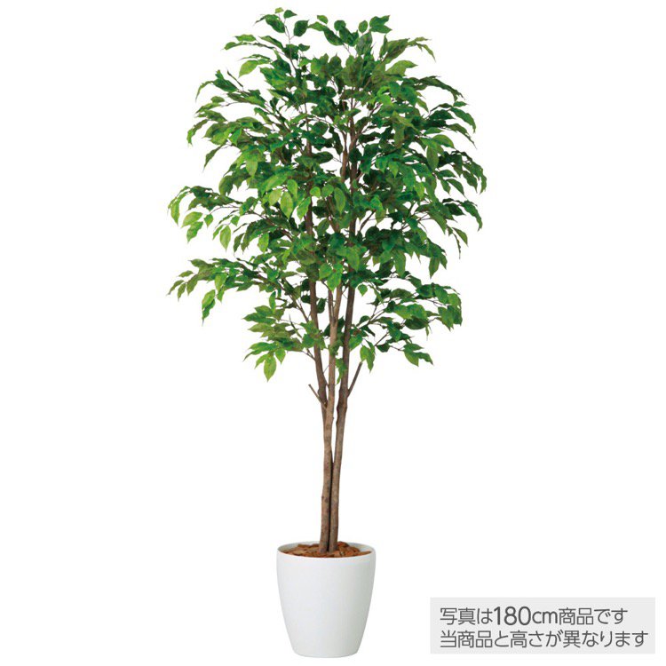 【マラソン期間中P5倍】【メーカー直送】 観葉植物 造花 大型 ベンジャミナスプラッシュトリプル (ベンジャミン) 200cm 鉢植 フェイクグリーン 人工観葉植物 インテリア 【代引不可】