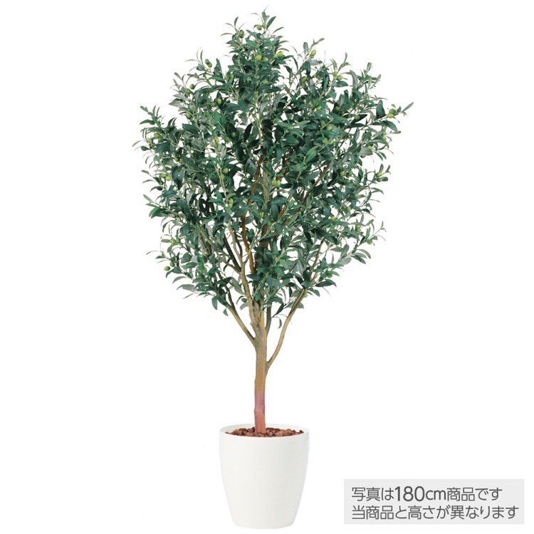 【マラソン期間中P5倍】フェイクグリーン ライプオリーブ 150cm 鉢植 観葉植物 造花 大型 人工観葉植物 光触媒 CT触媒 インテリア