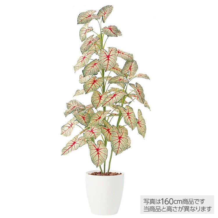 乐天商城 - フェイクグリーン 観葉植物 フェイク 人工観葉植物 大型 光触媒 人工 カラジウムトロピカーナ 100cm 鉢植 造花 大型 光触媒 CT触媒 インテリア