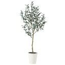 フェイクグリーン 観葉植物 フェイク 人工観葉植物 大型 光触媒 ブラックオリーブ FST 150cm 鉢植 【大型 造花 人工光触媒 CT触媒 インテリア】