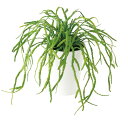 リプサリス 25cm フェイクグリーン 人工観葉植物 造花 光触媒 CT触媒 インテリア カジュアルポット 鉢付