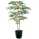 フェイクグリーン 観葉植物 フェイク 人工観葉植物 大型 光触媒 ヤマモミジ株立 GREEN FST 150cm 鉢植 造花 人工光触媒 CT触媒 インテリア ...