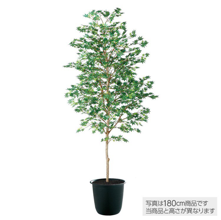 【マラソン期間中P5倍】【メーカー直送】 人工観葉植物 ヤマモミジ 緑 200cm 鉢植 観葉植物 造花 フェイクグリーン インテリア 【代引不可】