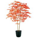 フェイクグリーン 観葉植物 フェイク 人工観葉植物 大型 光触媒 人工大型 ヤマモミジ株立 RED FST 180cm 鉢植 造花 光触媒 CT触媒 インテリア